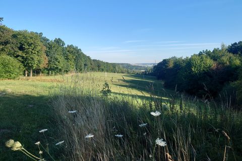 Blick auf die Käpplerschlucht