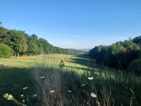 Blick auf die Käpplerschlucht