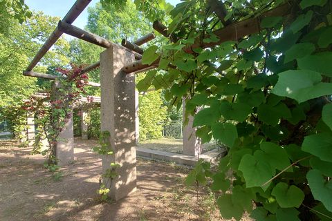 Weg in das Grünthal