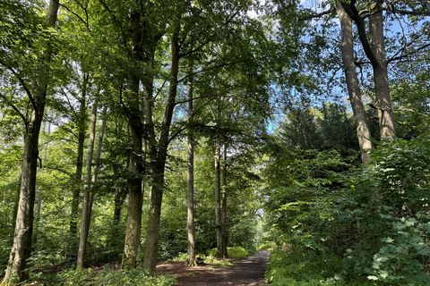 Wald