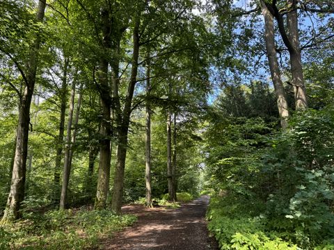 Wald