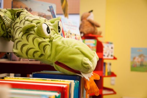 Drache