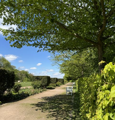 Englischer Garten