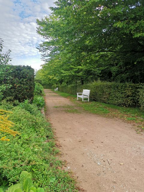 Sitzgelegenheit im Französischen Garten