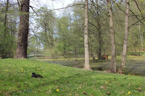 Ente im Stadtpark